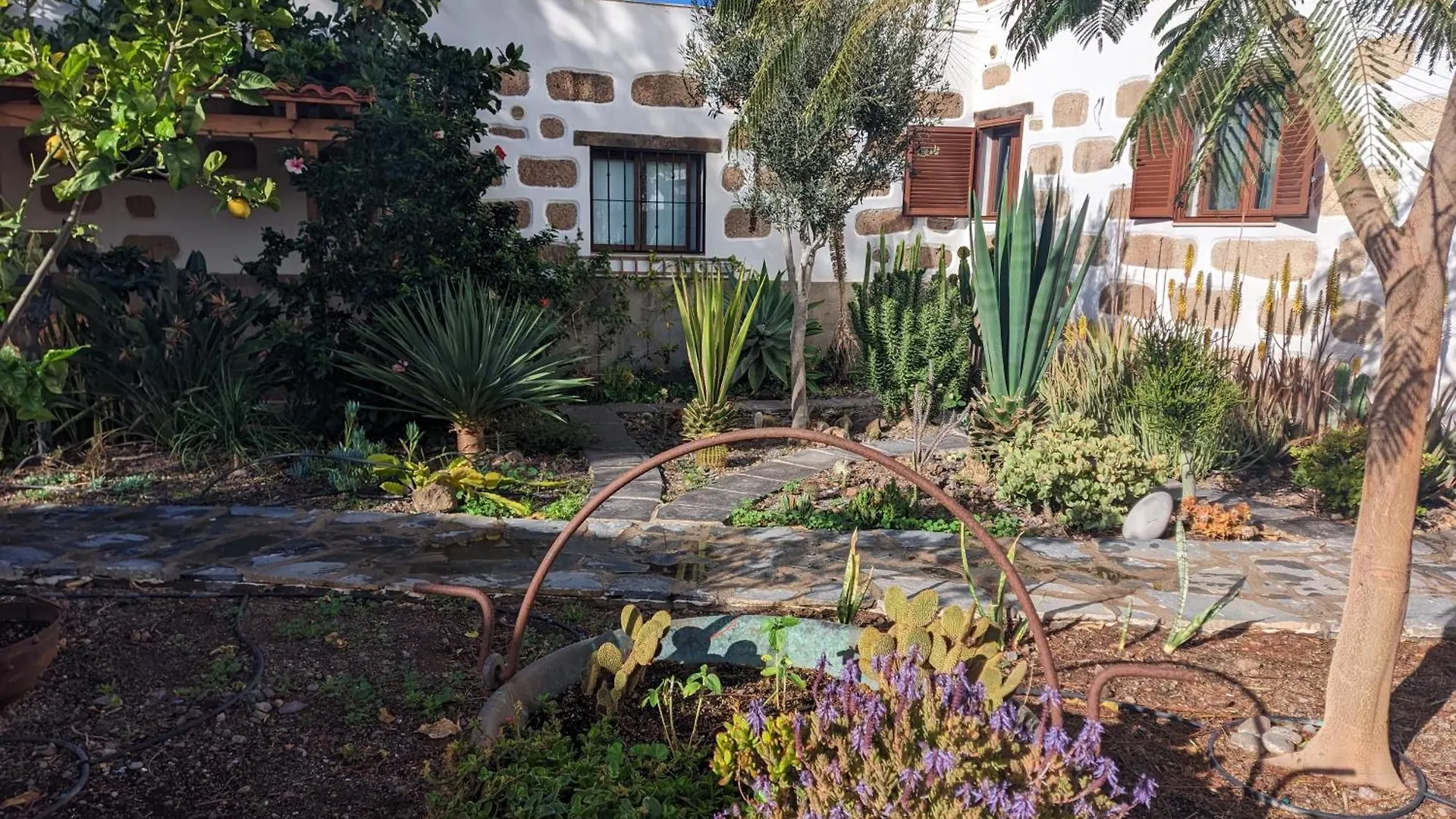 Casa Roberta Tierra Apartment Arona  Spain
