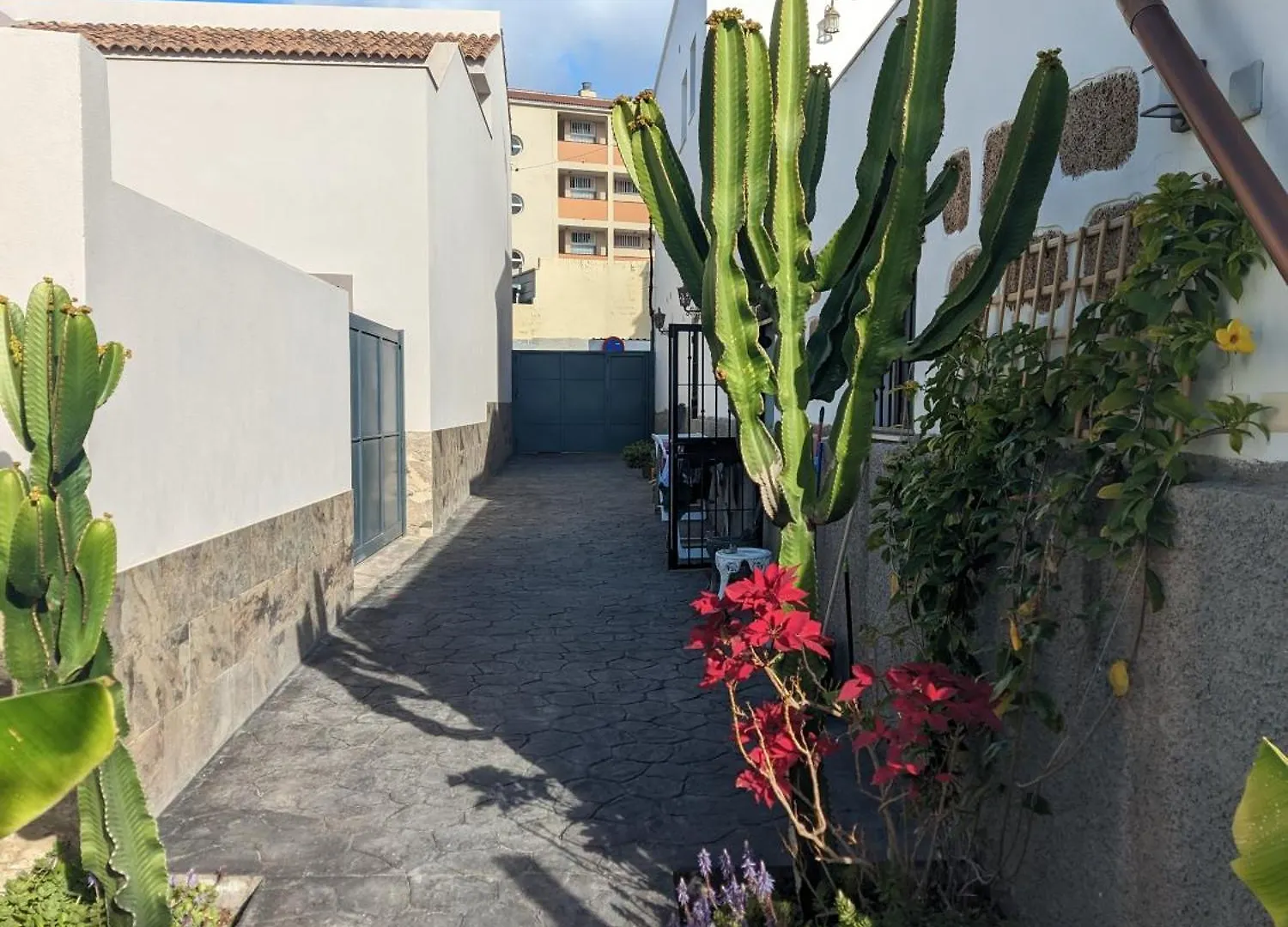 Casa Roberta Tierra Apartment Arona  Arona (Tenerife)